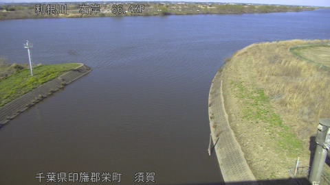 tonsu2026030815_image