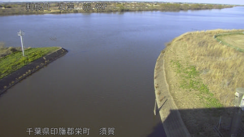 tonsu2026030816_image