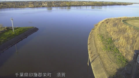 tonsu2026030817_image