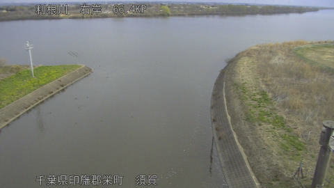 tonsu2026030908_image