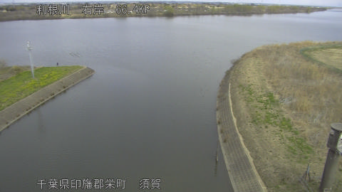 tonsu2026030912_image