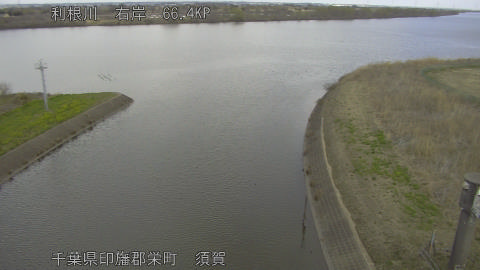 tonsu2026030913_image