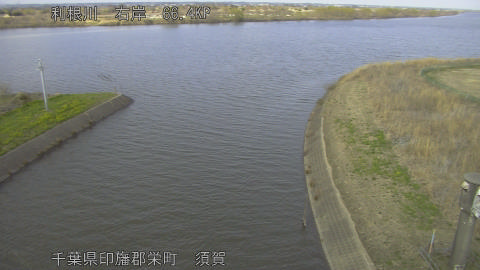 tonsu2026030916_image