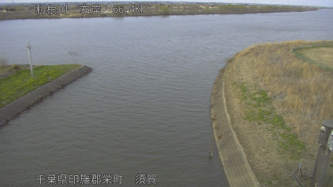 tonsu2026030917_image