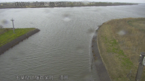 tonsu2026031012_image