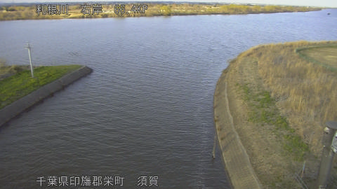 tonsu2026031017_image