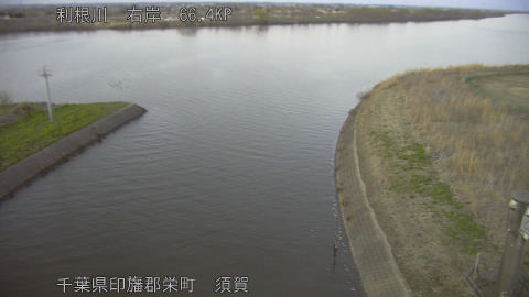 tonsu2026031018_image