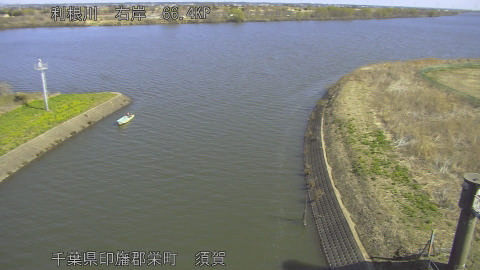 tonsu2026031110_image