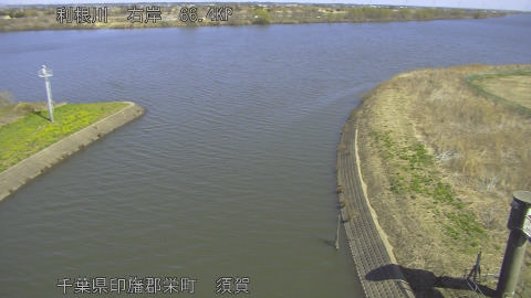 tonsu2026031111_image