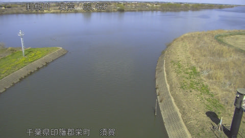 tonsu2026031113_image