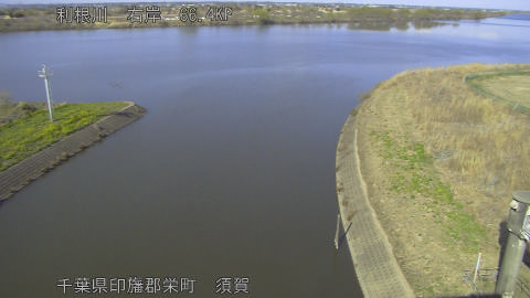 tonsu2026031115_image