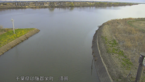 tonsu2026031207_image