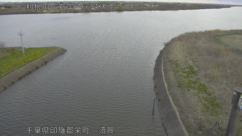 tonsu2026031208_image