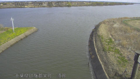 tonsu2026031209_image