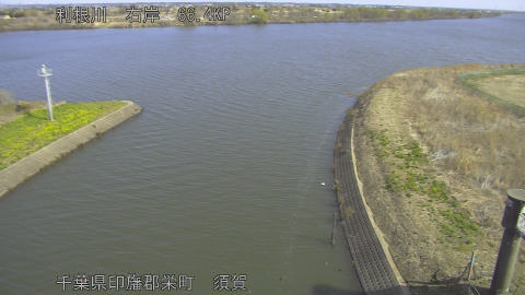 tonsu2026031210_image