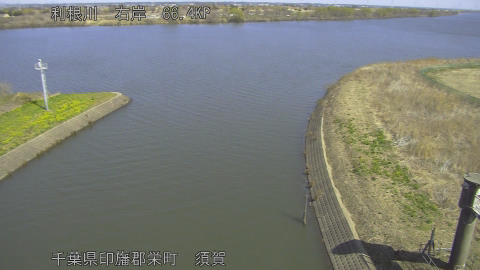 tonsu2026031211_image