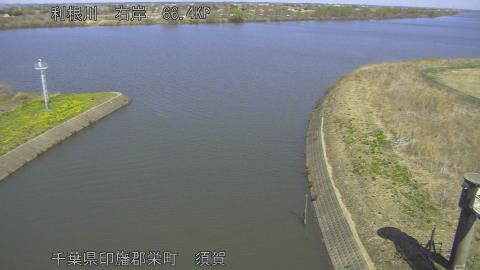 tonsu2026031212_image