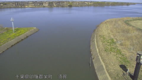 tonsu2026031213_image