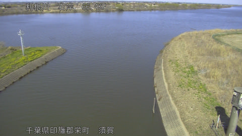 tonsu2026031214_image