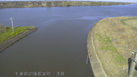 tonsu2026031215_image