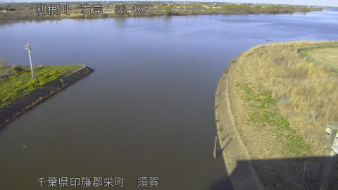 tonsu2026031216_image