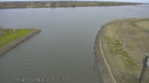 tonsu2026031312_image