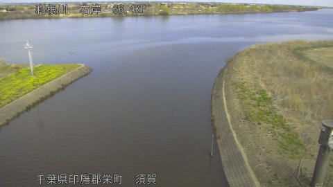 tonsu2026031612_image