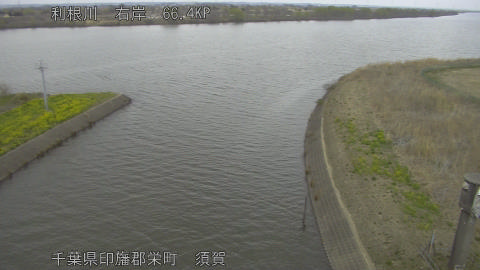 tonsu2026031812_image