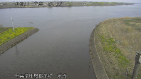 tonsu2026031912_image