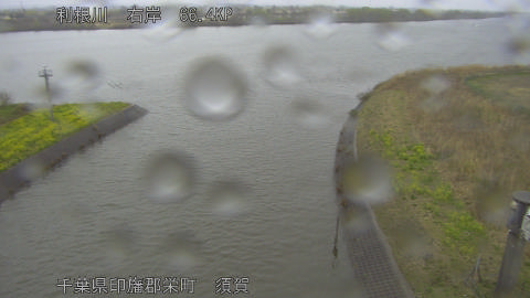 tonsu2026032012_image