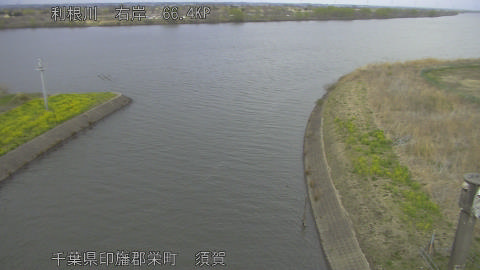 tonsu2026032017_image