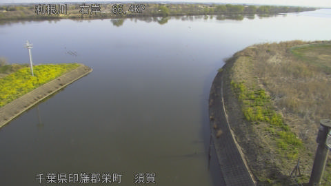 tonsu2026032108_image