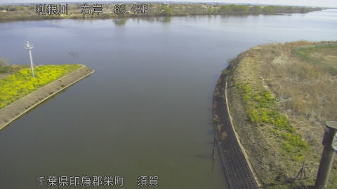 tonsu2026032109_image