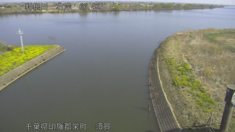 tonsu2026032110_image