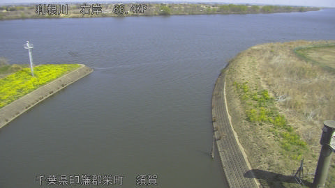 tonsu2026032111_image