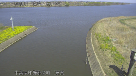 tonsu2026032112_image