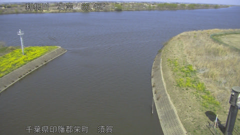 tonsu2026032113_image