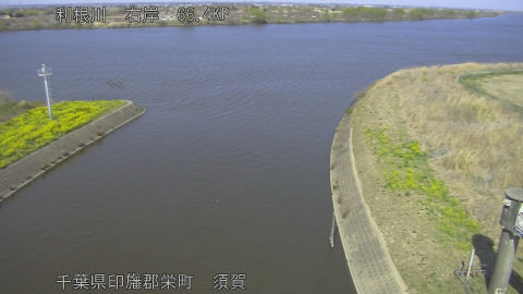 tonsu2026032114_image