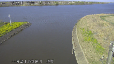 tonsu2026032115_image