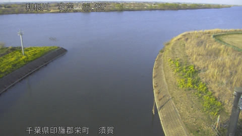 tonsu2026032117_image