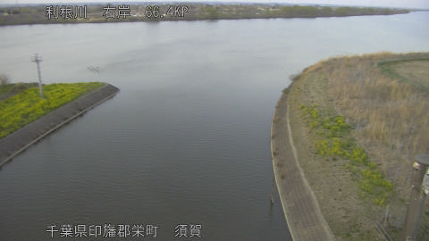 tonsu2026032118_image