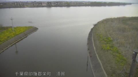 tonsu2026032206_image