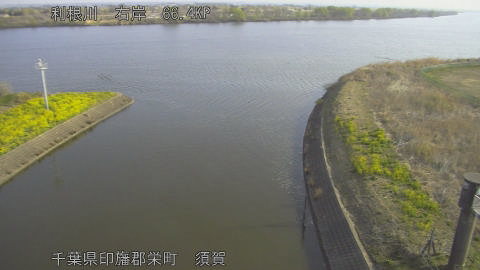 tonsu2026032208_image