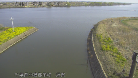 tonsu2026032209_image