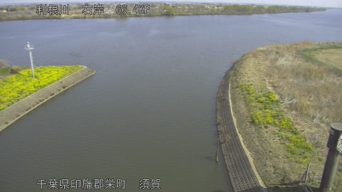 tonsu2026032210_image