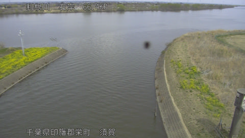 tonsu2026032212_image