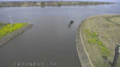 tonsu2026032213_image