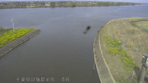 tonsu2026032214_image