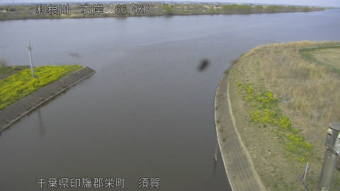 tonsu2026032215_image