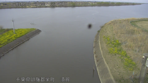 tonsu2026032216_image